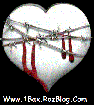 1Bax.RozBlog.Com/Love