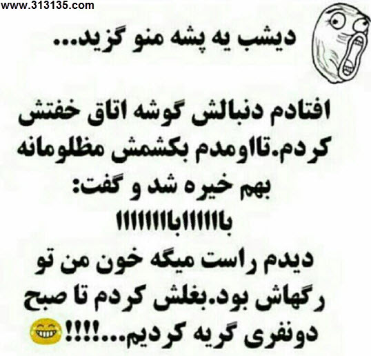 عکس خنده داری پشه