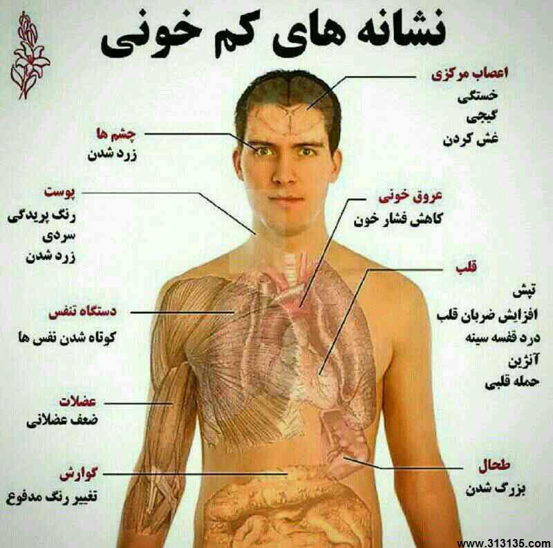 نتیجه تصویری برای عكس نوشته پزشكي