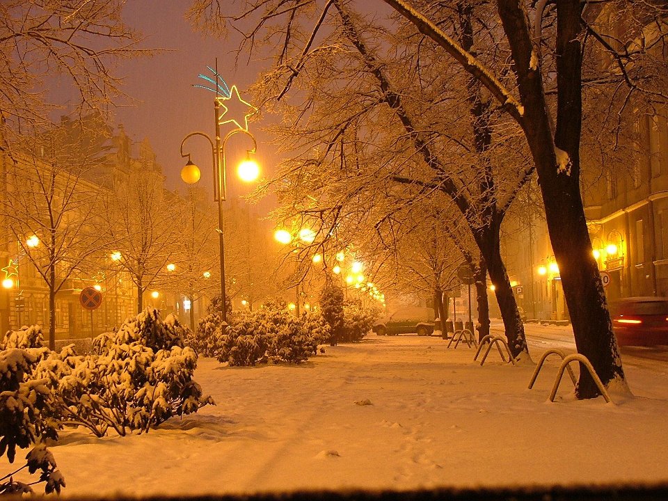 شب زیبای زمستان 
