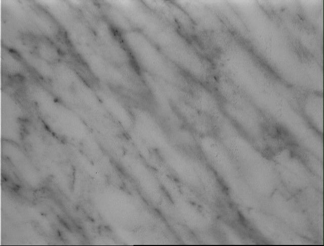 http://rozup.ir/up/mostafa3dmax1/texture/marble/marbre2.jpg