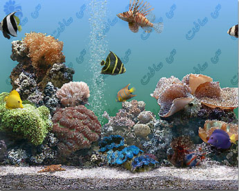 Aquarium Screen Saver [seasoft.rozblog.com]