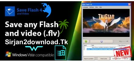 Save Flash 4.1 Build 0328