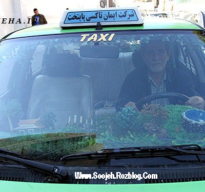 Soojeh | Taxi Jungle