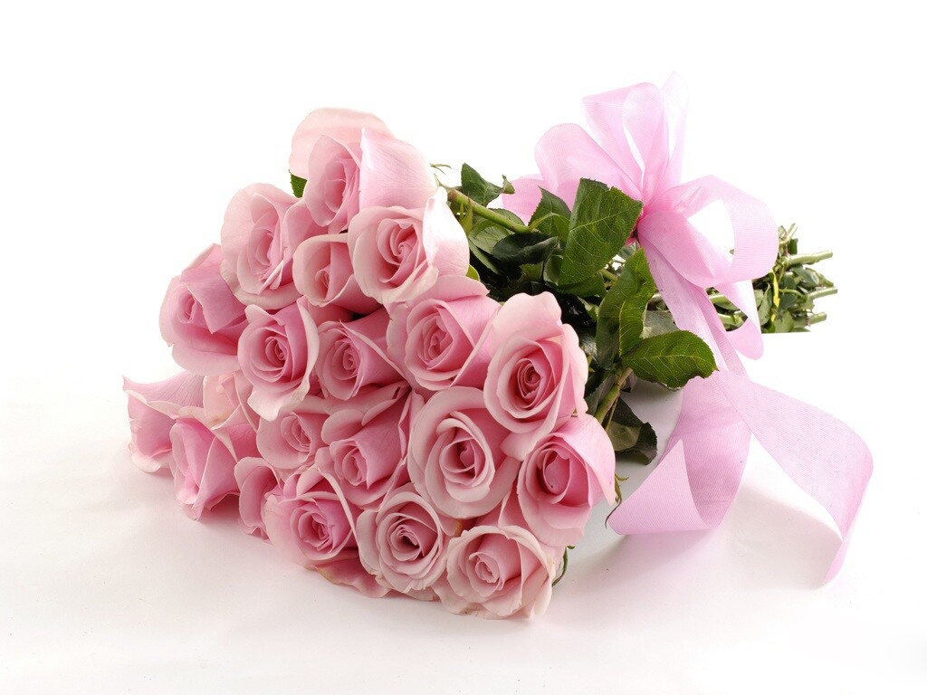[تصویر:  Pink_flowers4.jpg]