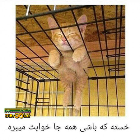 عکس خنده دار جدید و عکس باحال خنده دار Funny