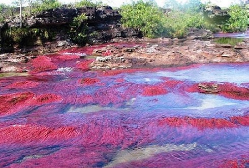  رودخانه رنگین کمان