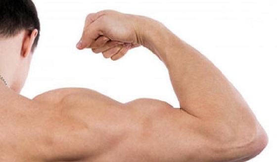  4 حرکت برای تقویت عضلات بازو