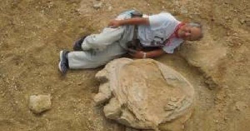 کشف ردپای بزرگترین دایناسور تاریخ در مغولستان