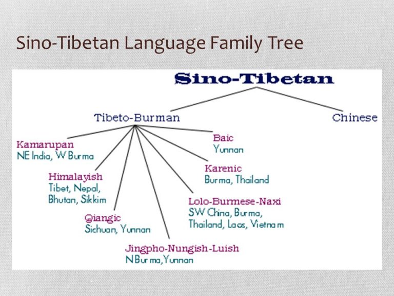زبان چيني تبتي چيست؟