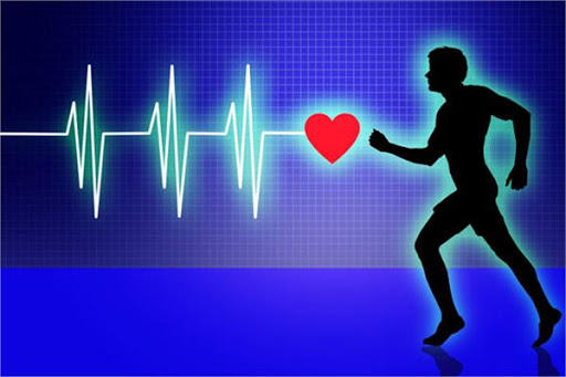 تاثیر ورزش بر سیستم قلب و عروق