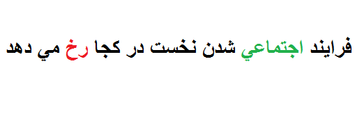 فرایند اجتماعی شدن نخست در کجا شکل می گیرد