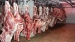 تولید بالغ بر دو هزار و ۶۰۰ تن گوشت قرمز در بیضا