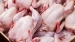از صادرات مرغ به کشورهای هدف حمایت می‌کنیم