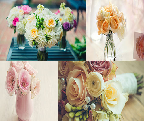 عکس های بسیار زیبا از قشنگترین گل ها