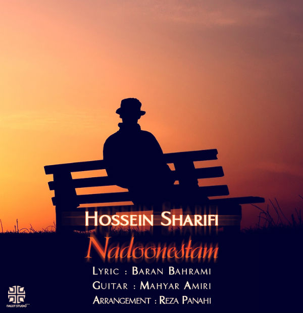دانلود آهنگ جدید حسین شریفی به نام ندونستم