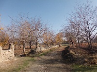 تصاویری زیبا و پاییزی از طبیعت روستای آبدر