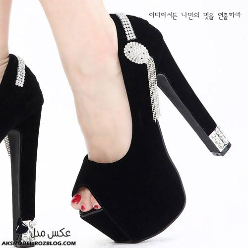 http://aksmodel.rozblog.com - جدید ترین مدل کفش پاشنه دار مجلسی