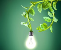  تولید برق از گیاهان زنده 