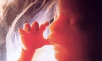  با این روش‌ها در دوران بارداری به افزایش هوش جنین کمک کنید 