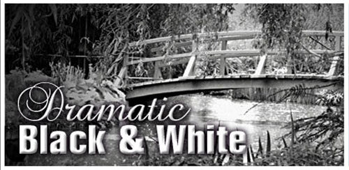 Dramatic Black & White v2.06 