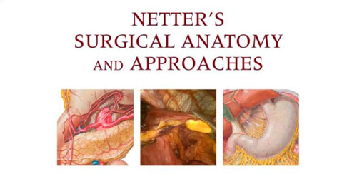 Netter’s Surgical Anatomy Review P.R.N v1.0 