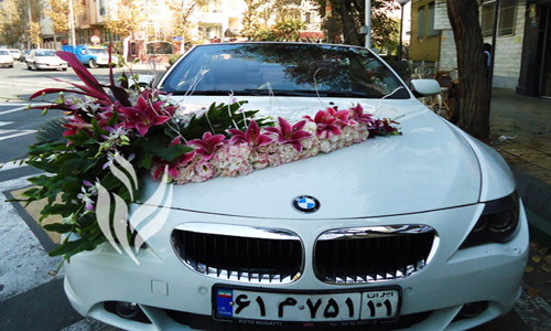 جدیدترین مدل ماشین عروس