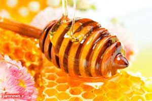 عسل در تقویت حافظه کودکان مؤثر است 