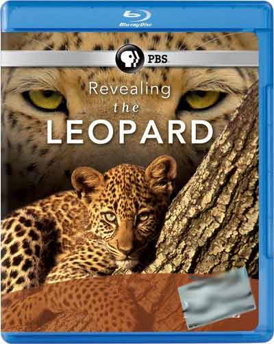 https://rozup.ir/up/asiad/Pictures/RevealingtheLeopard41646.jpg