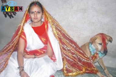 ازدواج دختر زیبای هندی با یك سگ ولگرد + تصاویر