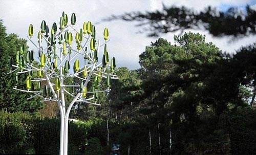 درختی که از خود برق تولید می کند! +عکس