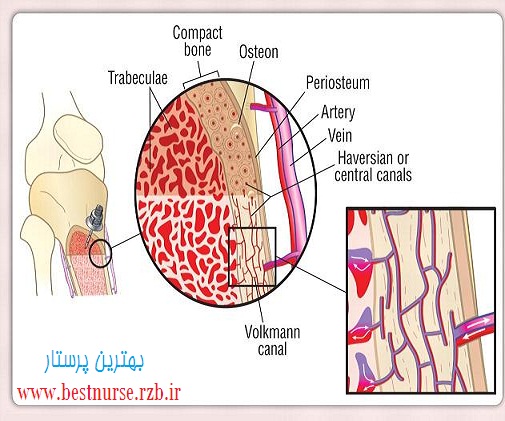 انفوزیون داخل استخوانی(Intraosseous)