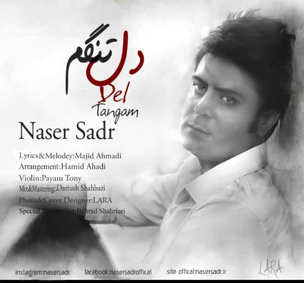 https://rozup.ir/up/bia2music64/Pictures/Naser-Sadr-Deltangam.jpg