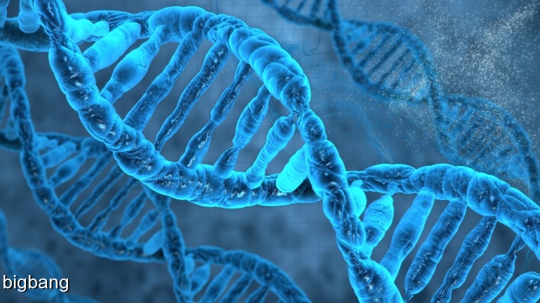 آیا برای تشکیل حیات، واقعا به DNA نیاز هست؟
