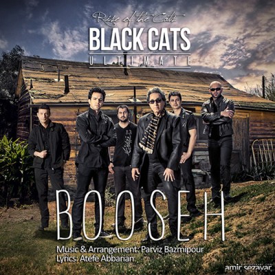 Black Cats - Boose