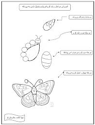 مراحل رشد پروانه
