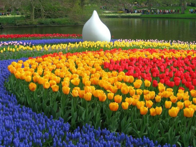 عکس های بزرگترین و زیباترین پارک گل در دنیا,عکس گل های زیبا,عکس پارک پر از گل,عکس پارک گل,عکس زیباترین گل ها,عکس گل زیبا,گل های بسیار زیبا
