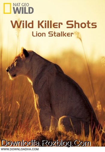 Wild_killer_shots_lion_stalker_cover