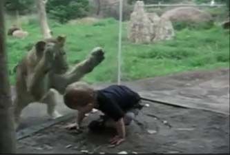 کلیپ بازی کردن کودکان با حیوانات در باغ وحش (خیلی جالبه)