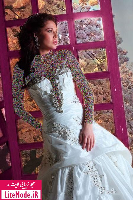 لباس عروس,لباس عروس پرنسسی,لباس عروس پرنسسی 2014