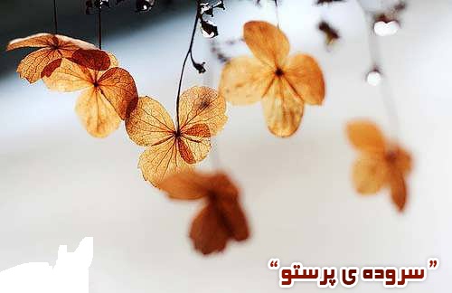 شعرهای عاشقانه و غمگین بهمن ماه
