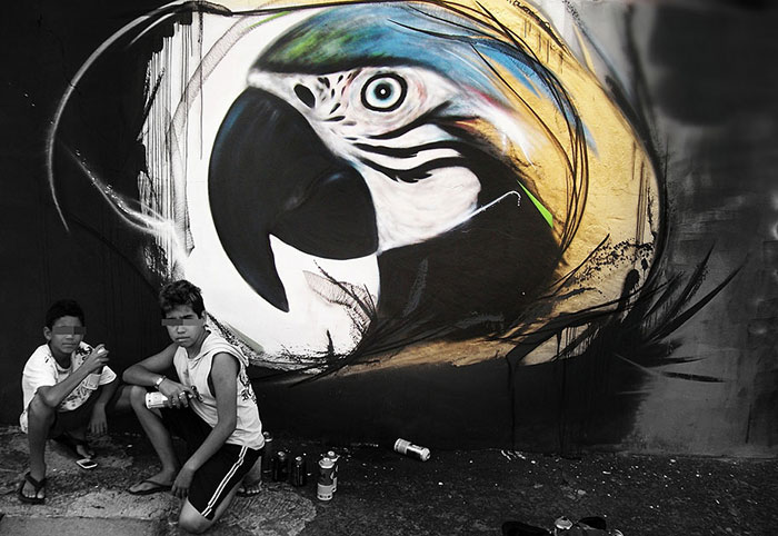 https://rozup.ir/up/fashionlite/Video/wrw/L/L/graffiti-birds-5.jpg