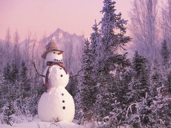 عکس‌های زیبای زمستان برفی 