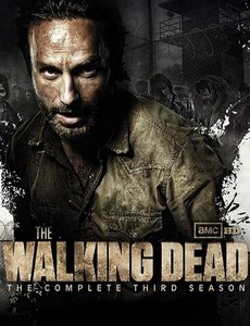 دانلود زیرنویس فارسی قسمت نهم فصل چهارم سریال The Walking Dead
