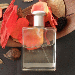 25th Edition Cologne Spray For Men کد 209