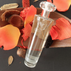 25th Edition Perfume Spray For Women کد 208
