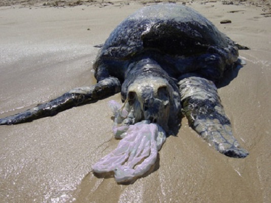 سالانه 8 میلیون تن زباله پلاستیکی به اقیانوس ها می ریزد