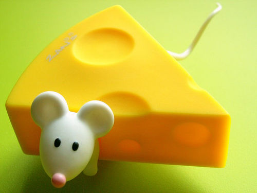 دانلود خط تولید پنیر+مقاله