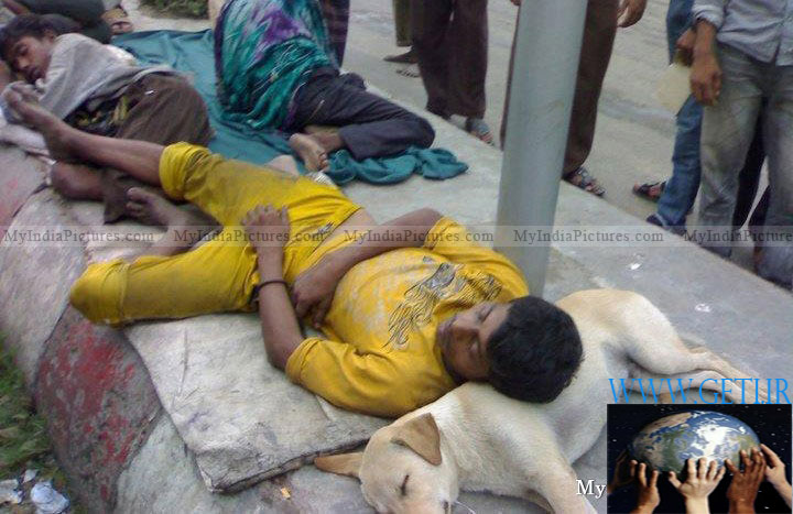 https://rozup.ir/up/geti/beggar_sleeping_with_dog_funny_india_02.jpg
