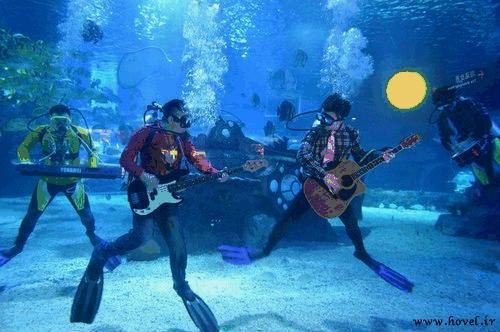 برگزاری کنسرت در زیر آب! + عکس